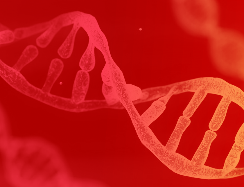 a closeup of a DNA double helix on an orange background