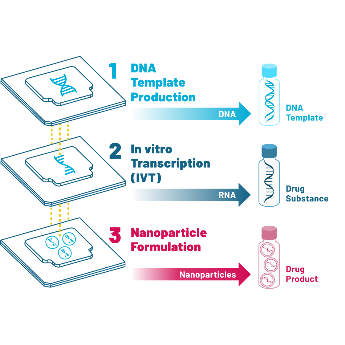 A graphic showing Nutcracker's process-specific biochip capabilities.