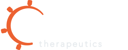 Nvelop logo