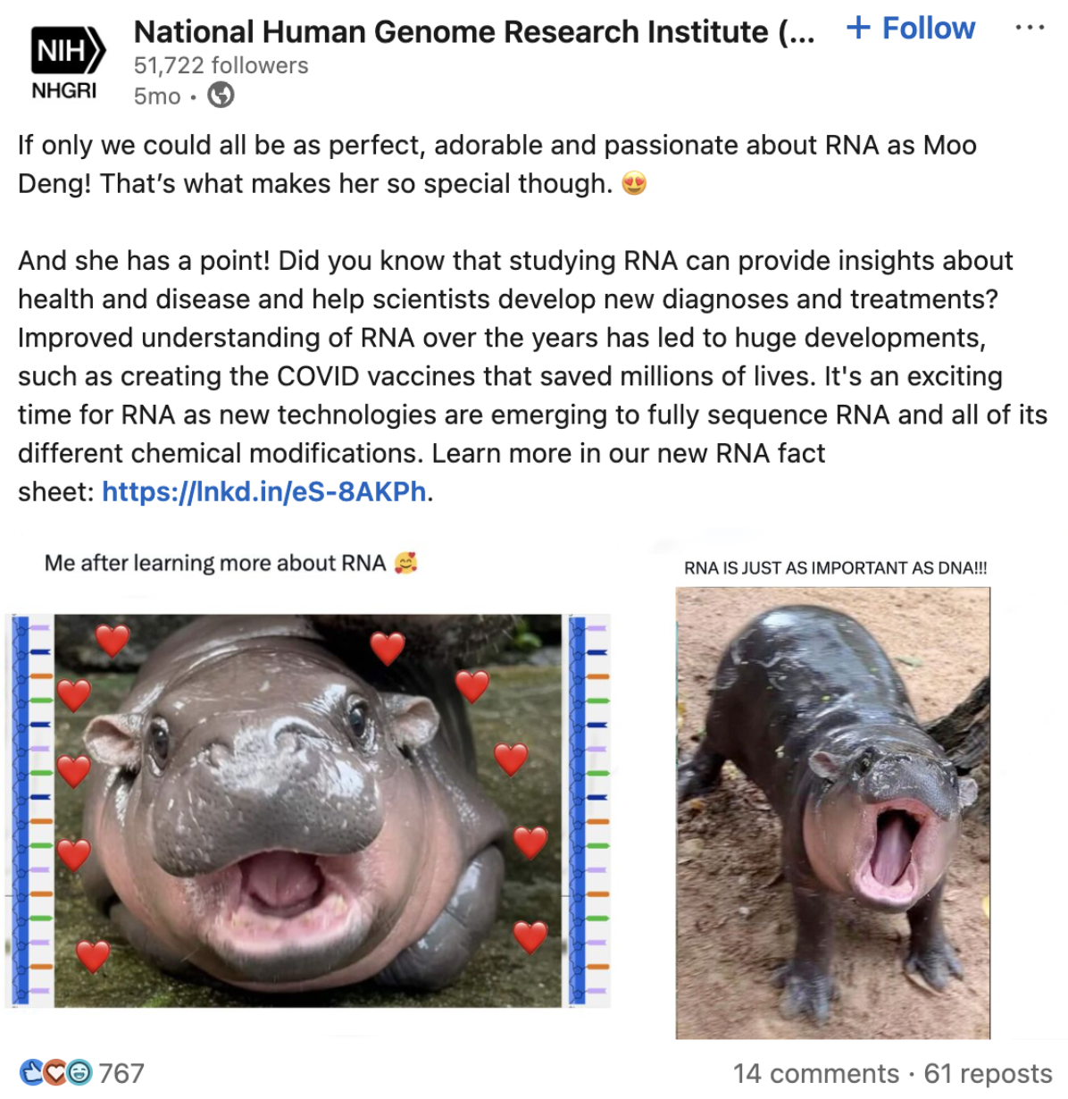 Screenshot of Nation Human Genome Research Institute LinkedIn post with hippos