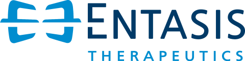 Entasis logo